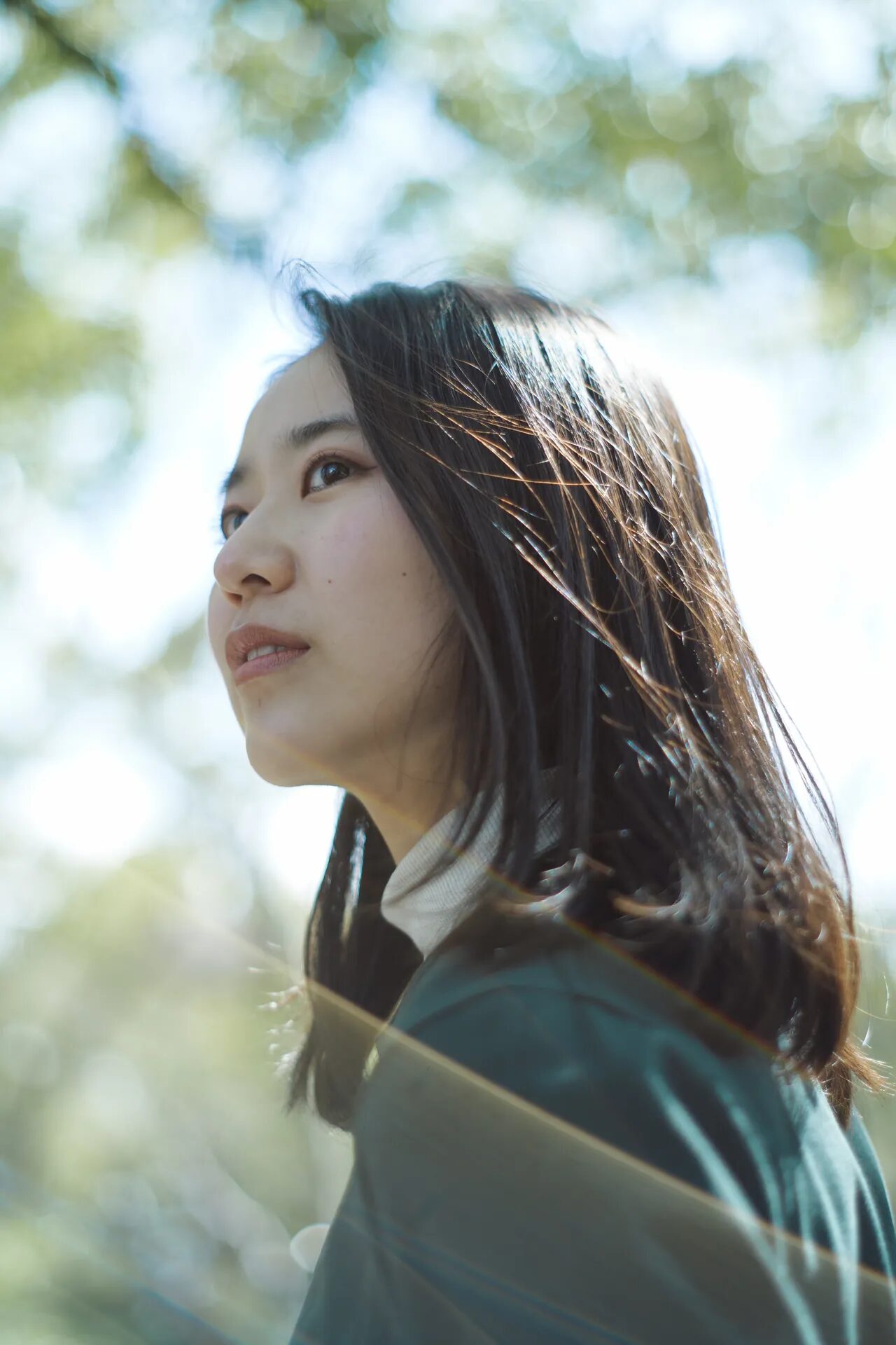 ギャラリー画像5